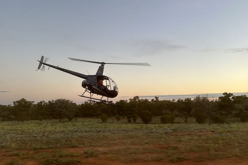 Helicopter flying low over rural landscape