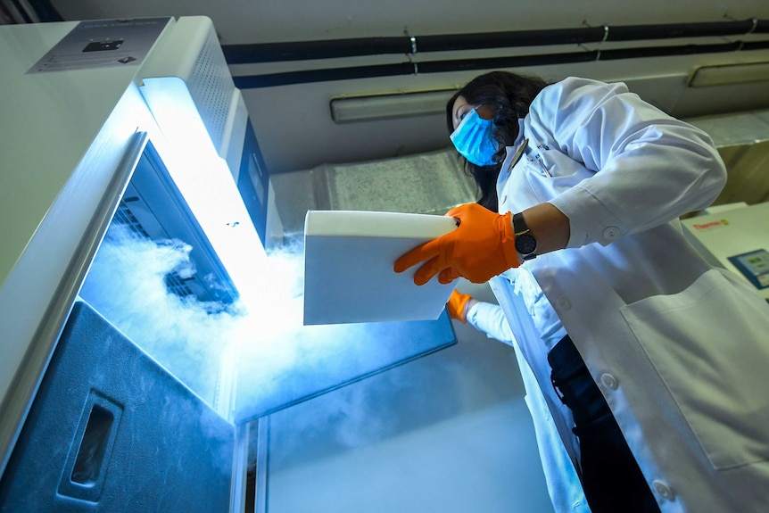 A low shot looking up of female doctor in white coat and mask opening refrigerator with icy smoke.