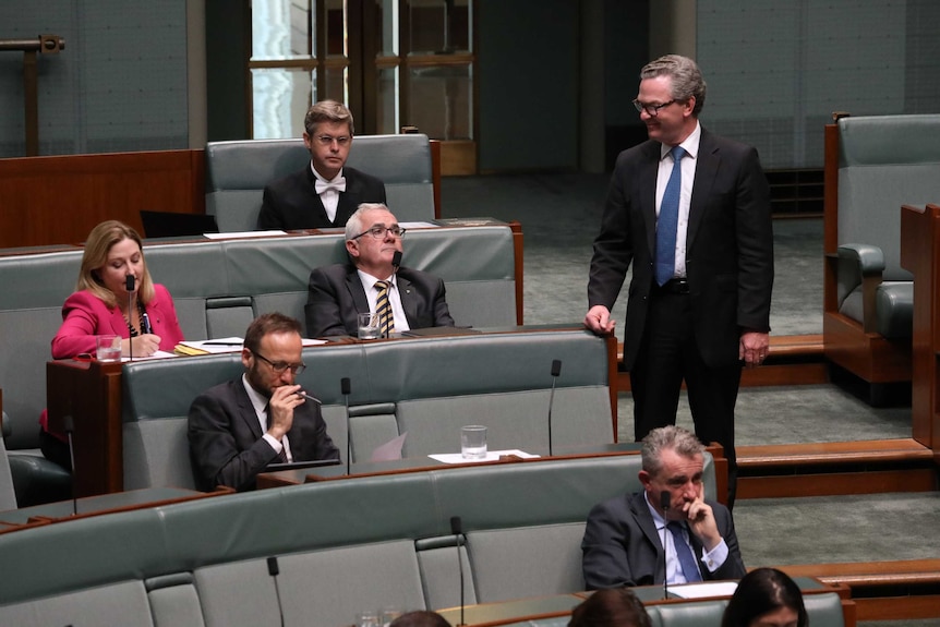 Christopher Pyne stands alongside crossbench MPs with Andrew Wilkie the only one making eye contact