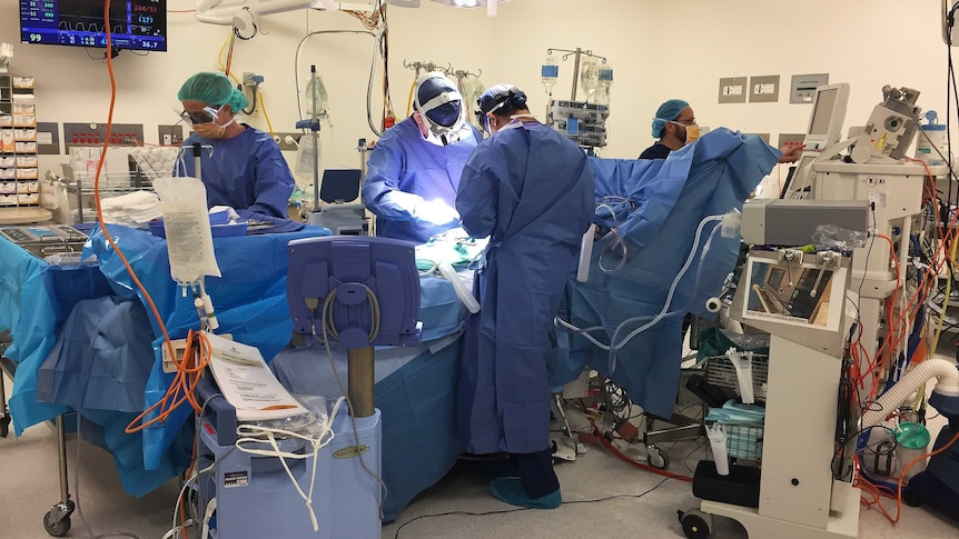 Medical staff at work in the Flinders cardiac unit