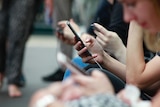 A group of people sitting, each holding and using a mobile phone