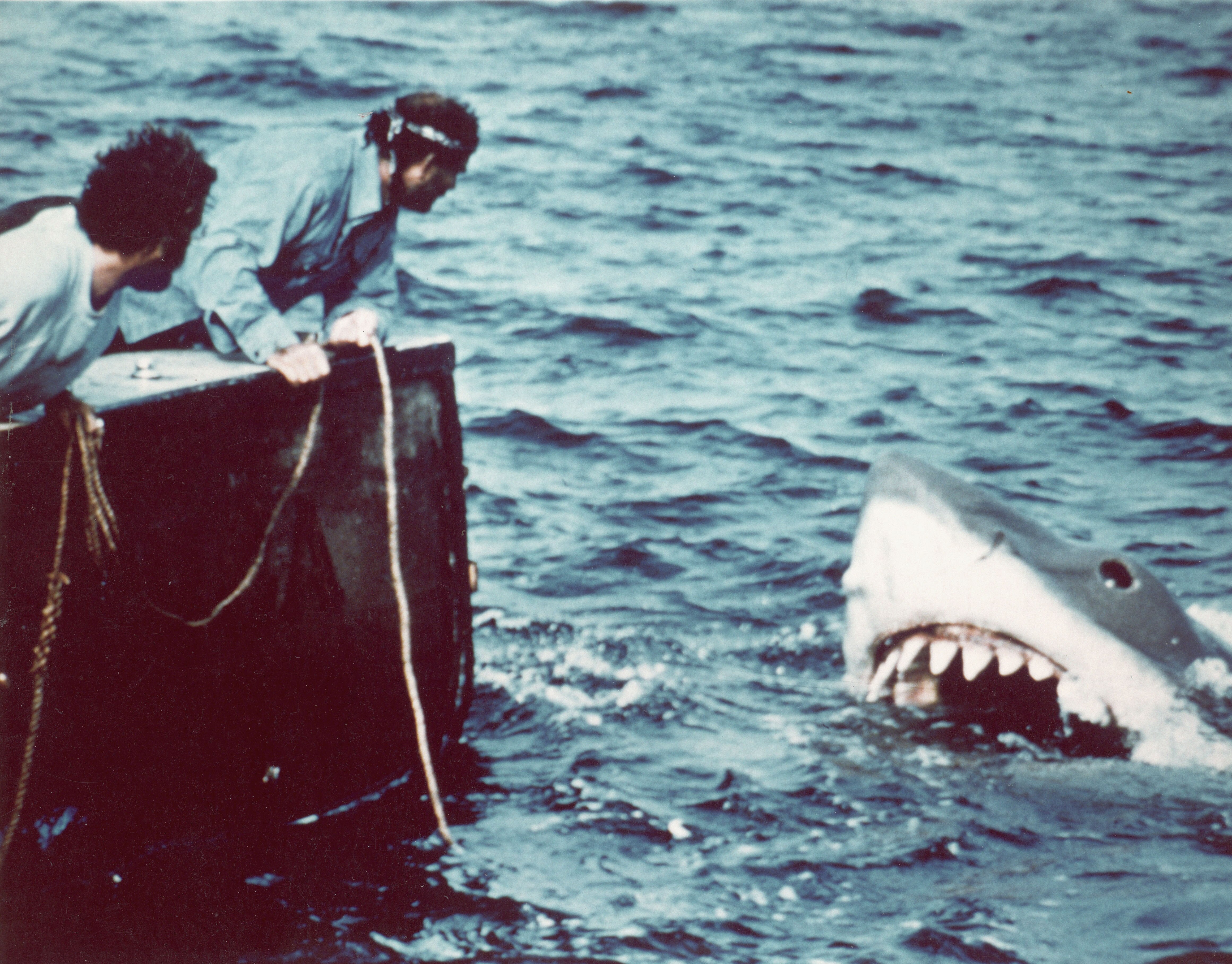 Jaws at 50: How the 1975 Steven Spielberg shark thriller became a