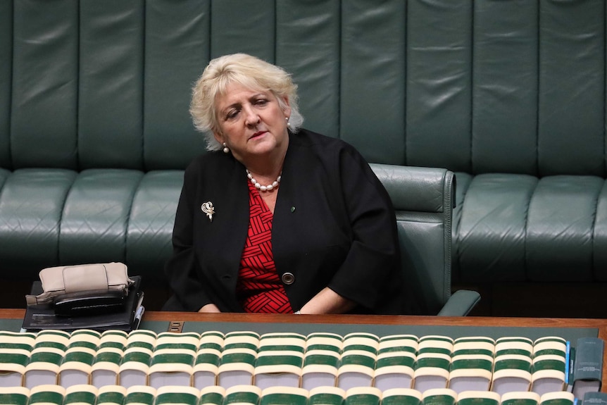 Michelle Landry sits in the Prime Minister's seat in the House of Representatives