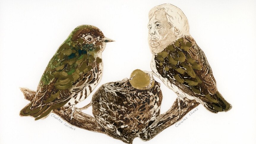Art print of two birds, one with a man's (Clive Palmer) head.