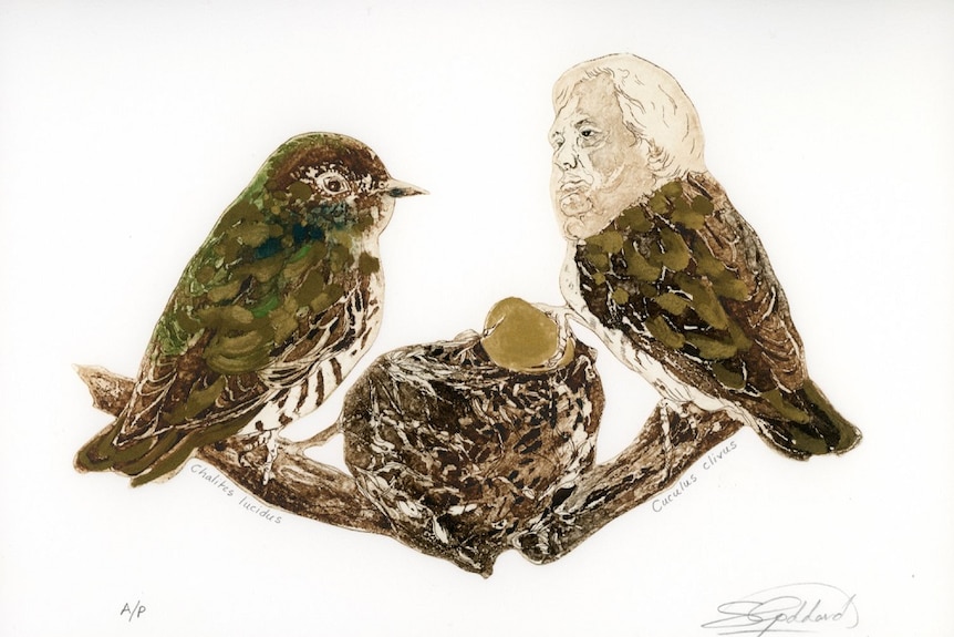 Art print of two birds, one with a man's (Clive Palmer) head.