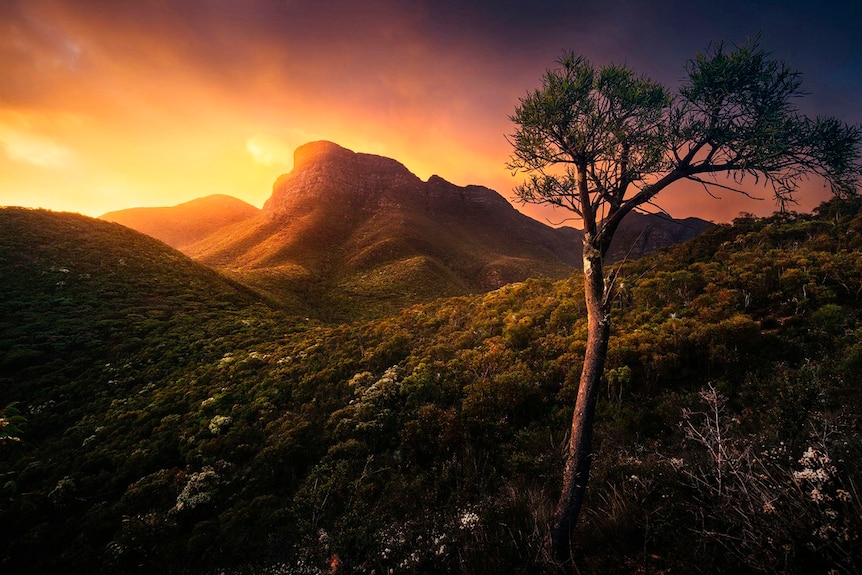 A mountain with a towering rock face in the bush at sunrise.