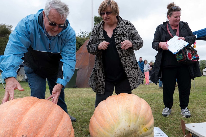 Girgarre Development Group members Doug Gray (left) and Jan Winter (centre) look at pumpkins.