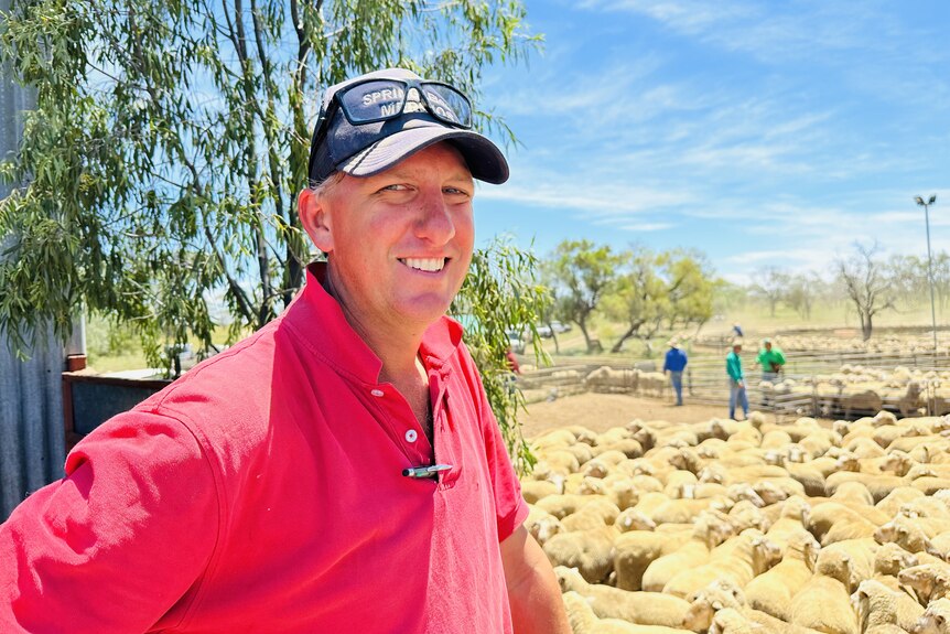 A man in a red shirt smiled at the camera with a large mob of wooly sheep stand below him in sheep yards