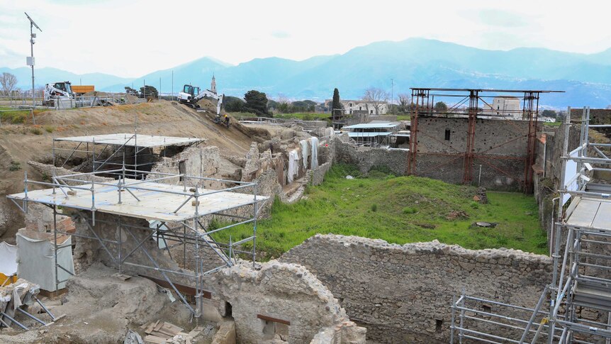 A view of the large excavation works at Pompeii, showing walls, green grass and scaffolding