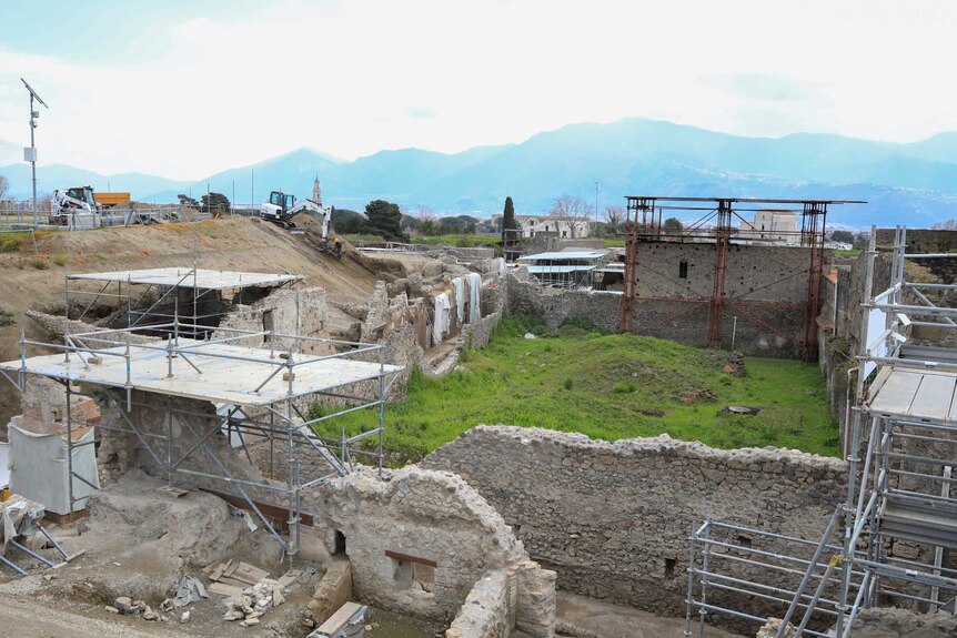 A view of the large excavation works at Pompeii, showing walls, green grass and scaffolding