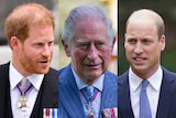 a composite image of Harry, Charles and William