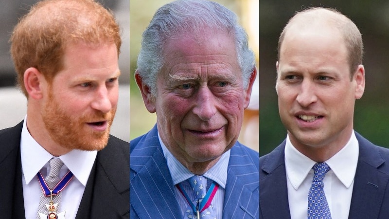 a composite image of Harry, Charles and William