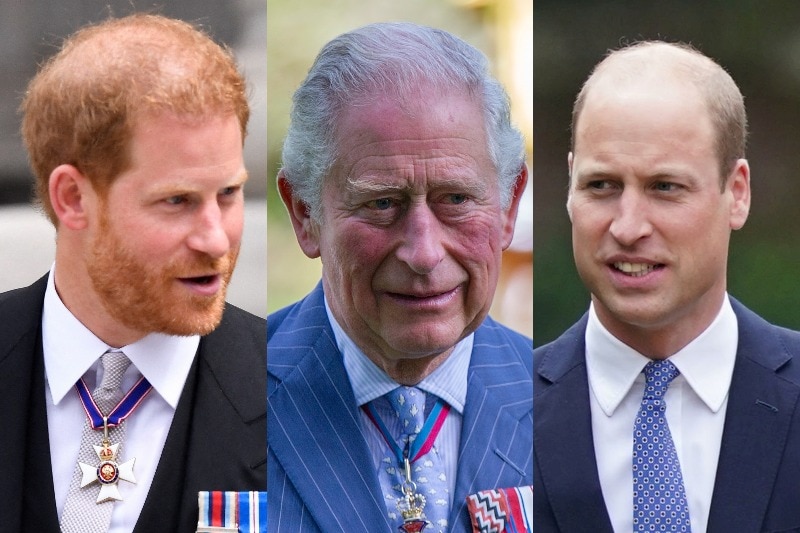After Queen Elizabeth's death, royal family's fractious years forgotten as  William and Harry rally around their father and King, Charles III - ABC News