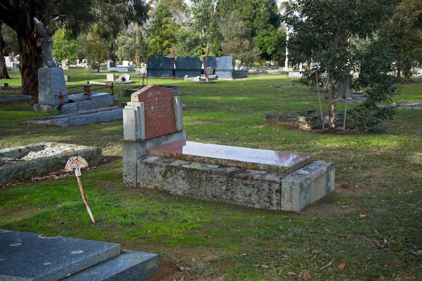 Bob Hitchcock's grave