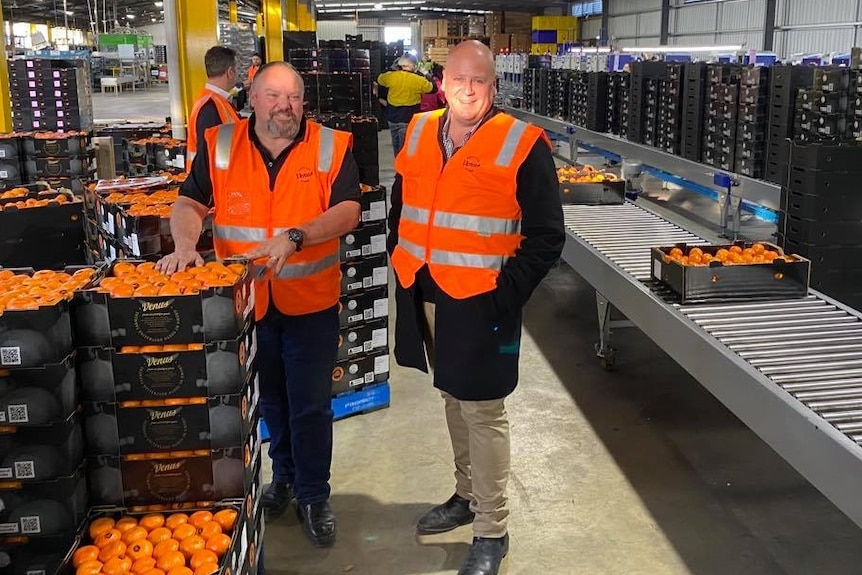 Two men standing next to each other next to oranges