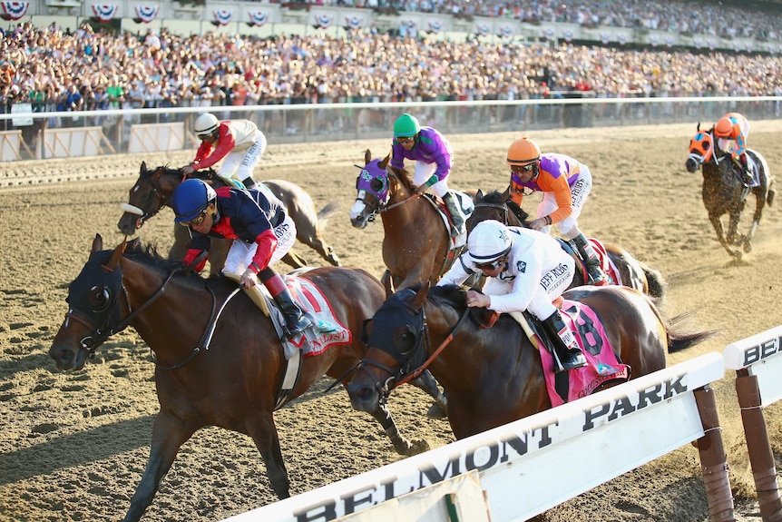 Tonalist wins the 146th Belmont Stakes, with California Chrome (green cap) back in fourth.