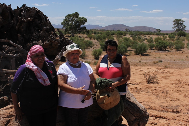 Three Aboriginal women stand near a tree stump overlooking trees in a dry creek bed in South Australia.
