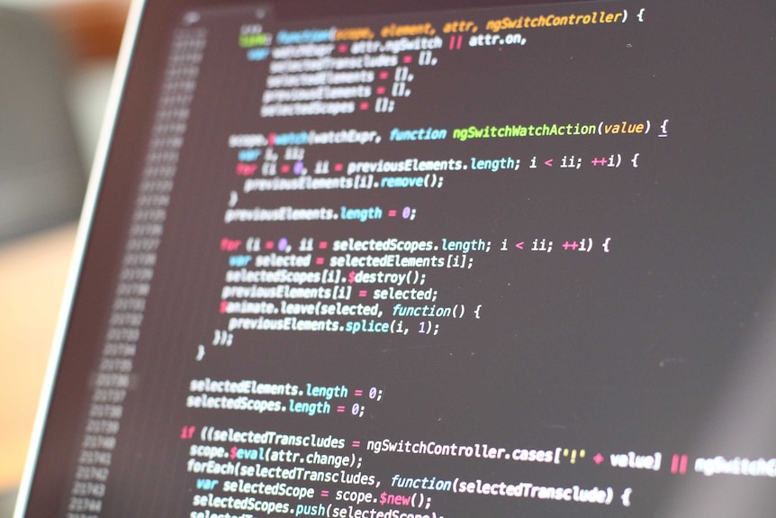 Lines of text on a computer screen.