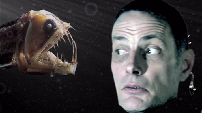 Marine biologist Mark Norman talks cephalopods and penguins episode artwork
