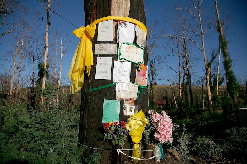 Flowers and messages are placed on a fire-damaged tree on the anniversary of Black Saturday.