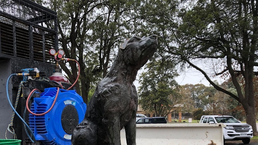 Bronze dog statue on top of green box