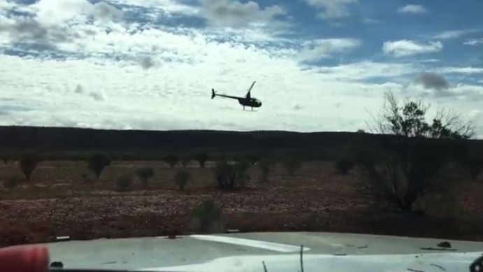 small helicopter flying low over cattle as seen through the windscreen of a four wheel drive