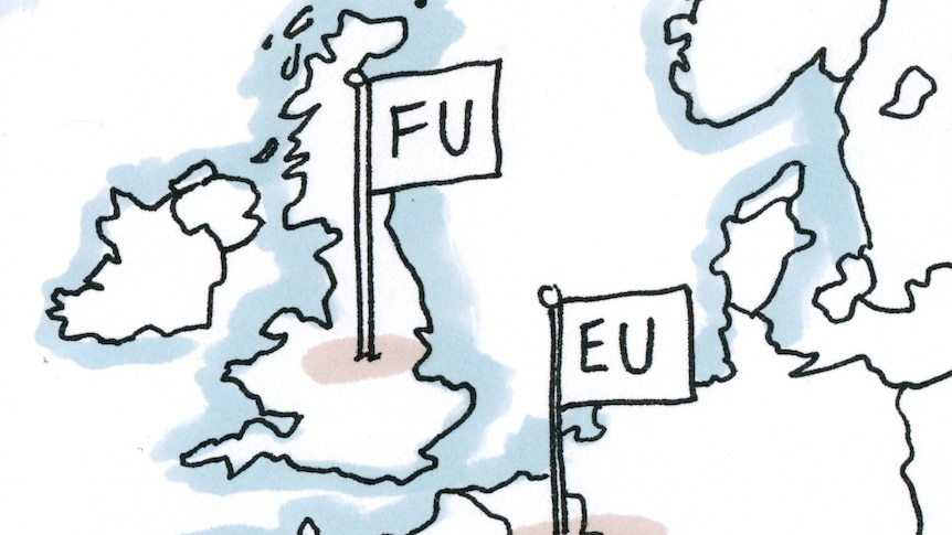A Matt Golding cartoon about Brexit.
