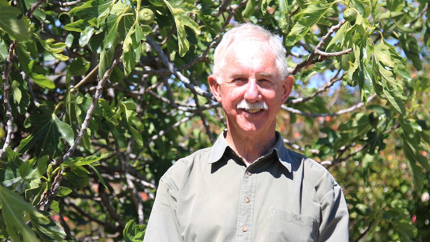 Man in a khaki shirt standing next to a large fig tree