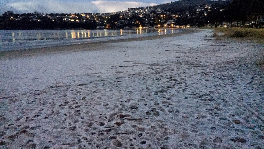 Snow on beach in Hobart