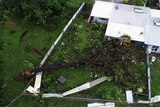 Aerial image of tree blown down over a house backyard