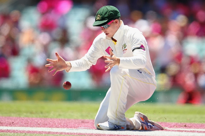 Smith drops Rahul at the SCG