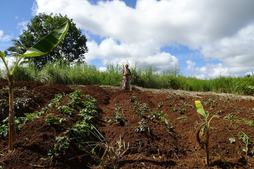 Villagers in Western Province, Papua New Guinea