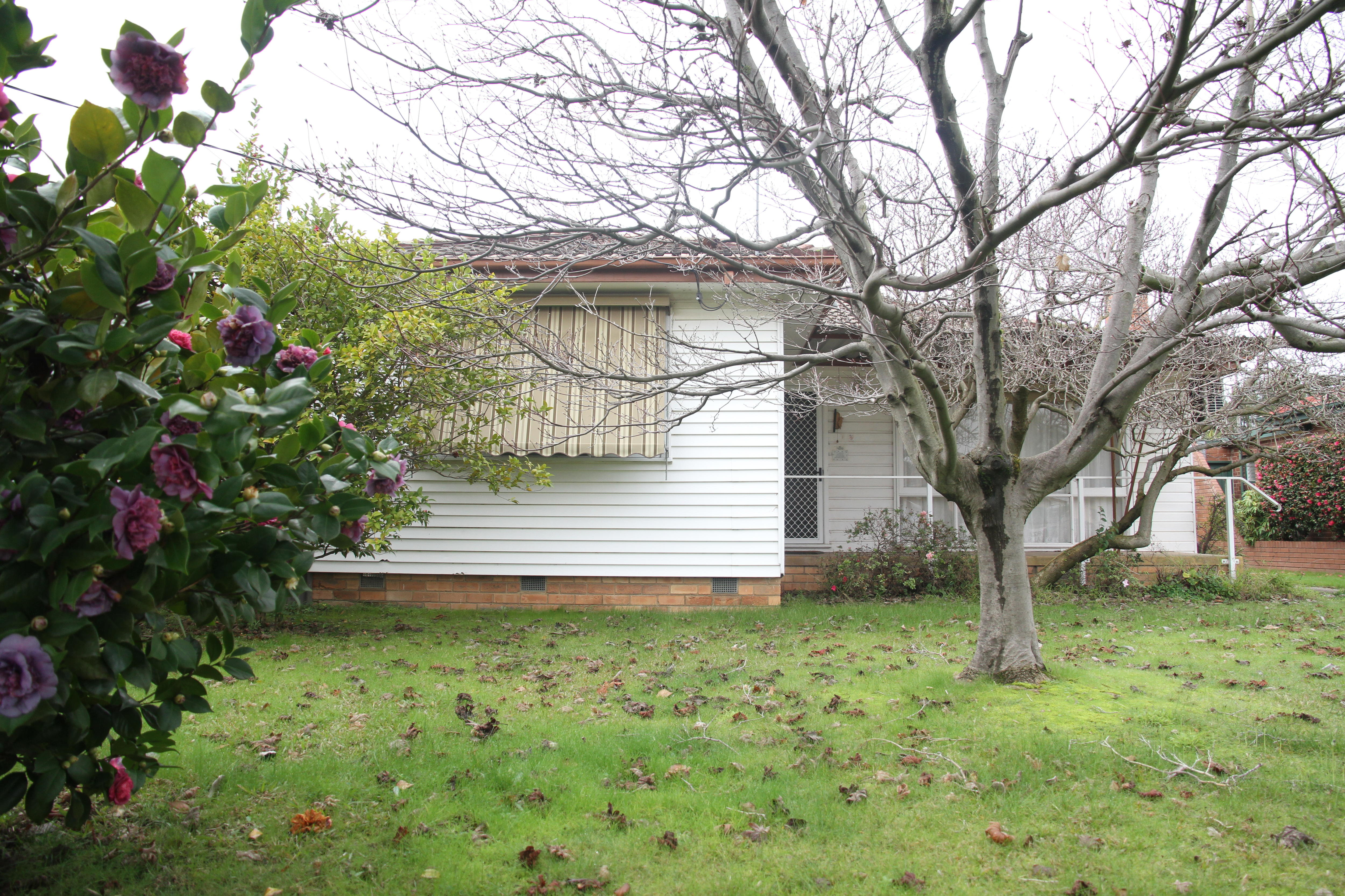 white weatherboard house with trees in front yard