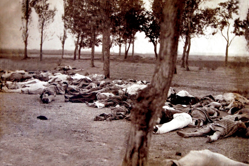 A black and white image shows rows of deceased bodies pictured in a bare forest.