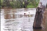 Police rescues boy in floodwaters