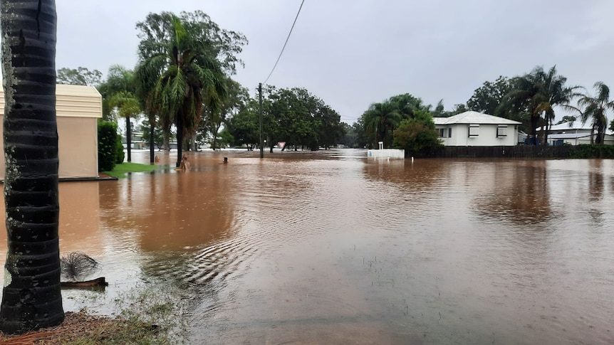 Flooded houses in street in Laidley