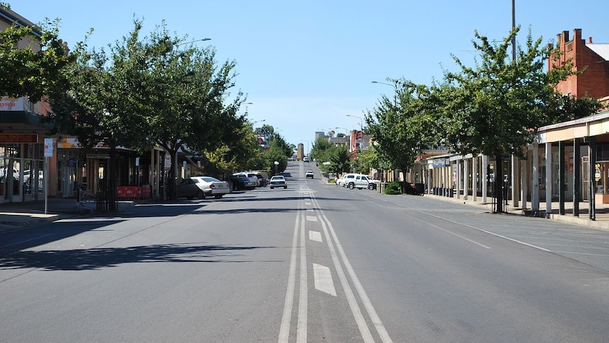 tarred road with white lines down the middle. Single storey shops and medium trees lining each side