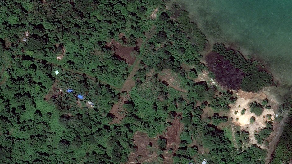 Houses and trees standing before Cyclone Pam