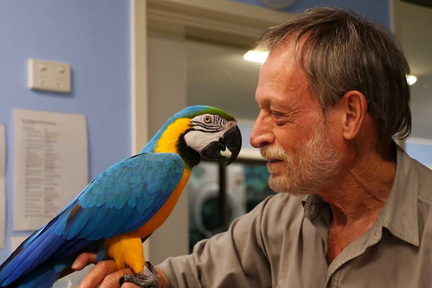 Man inside a vet consulting room holds a colourful parrot on one hand and looks into its eyes.