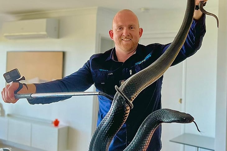 Man holding a large red bellied black snake in a safe manner, smiling