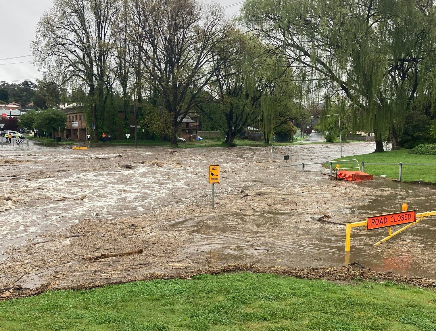 Cooma traders unhappy about possible cause of flash flood damage as