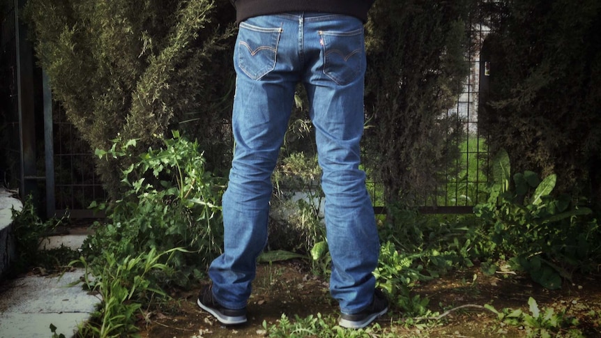 A man wearing blue jeans, urinating in nature. 