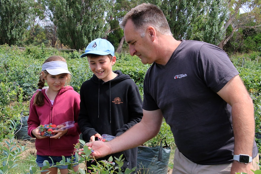 Berry Patch owner Craig Morris with young customers picking berries