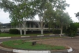 A government building along a road fronted by gum trees.