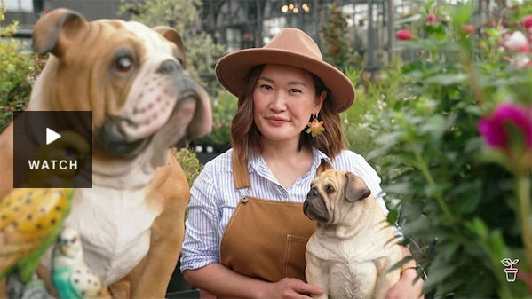 Tammy in a gardenwith statues of pet dogs and a budgerigar. . Has Video.