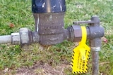 A water meter sticking out of a lawn has a bright yellow tag on it.