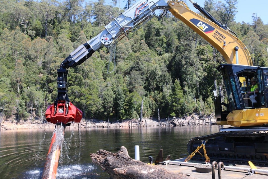 Custom harvester pulls a log from Lake Pieman