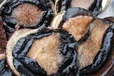 Abalone thieves caught on NSW south coast