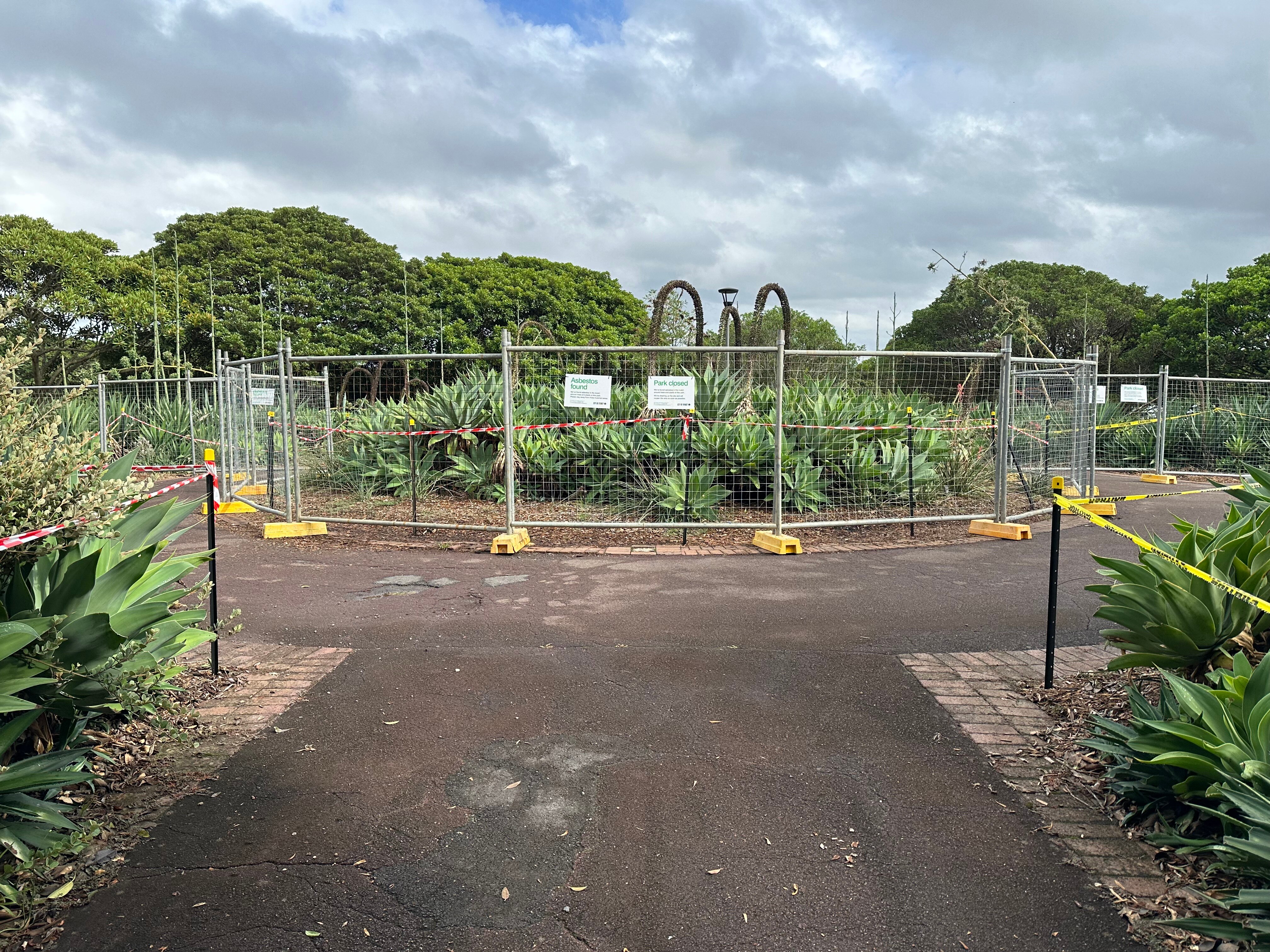 Path leading to Tree area and mulch fenced off at Bicentennial Park 1, Glebe