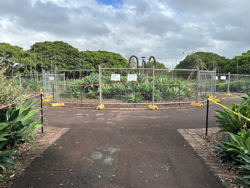 Path leading to Tree area and mulch fenced off at Bicentennial Park 1, Glebe